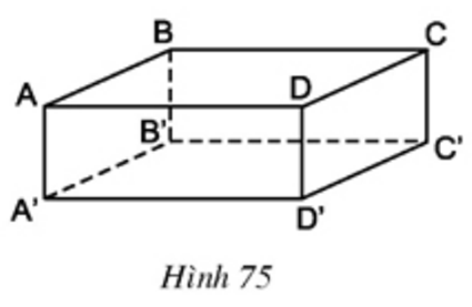Hình ảnh