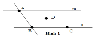 Hình ảnh