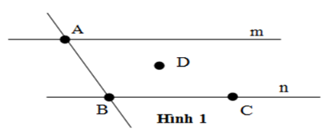 Hình ảnh