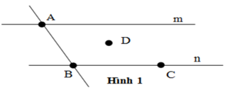 Hình ảnh
