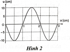 Hình ảnh