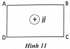 Hình ảnh